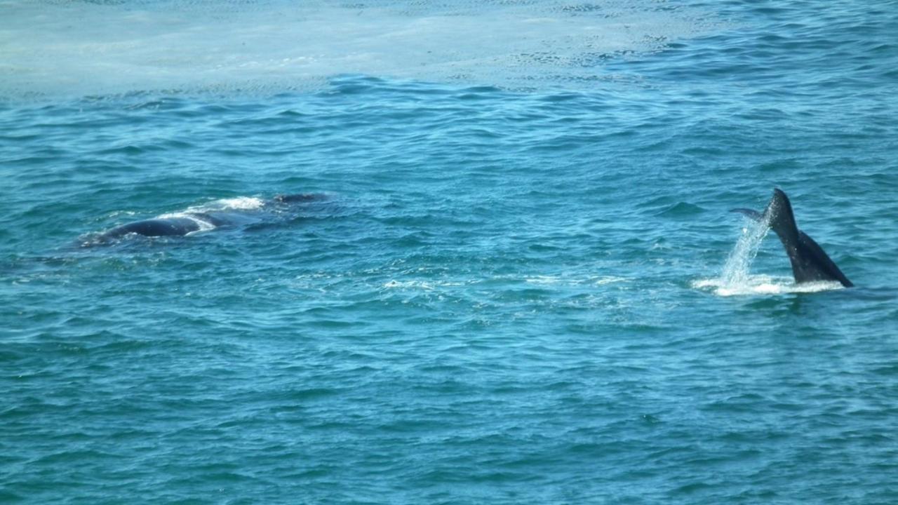 Misty Waves Boutique Hotel Hermanus Exterior foto